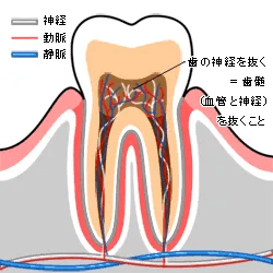 ̐_ỏ